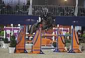 HENGSTENCOMPETITIE LIER